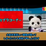 放送事故　リポーターのダスティさん【シルバニアファミリー】
