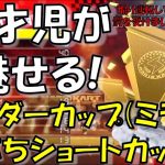 【マリオカート8DX#4】 4歳児によるサンダーカップ(ミラー)&煽り運転に罰!!