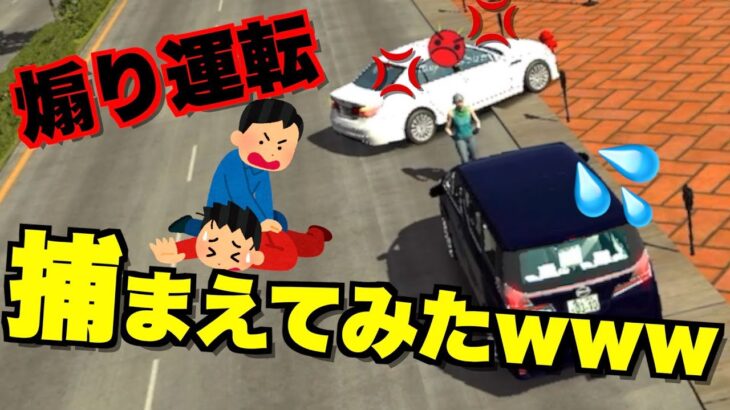 【CarParking】煽り運転してきたキッズの車とっ捕まえてみたwwww【CPMキッズ集 #29】