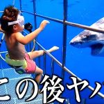 【神回】ツッコミどころ満載な動物のおもしろ動画見ようぜwwwwww【新作&傑作集】【ハプニング映像】【犬】【猫】