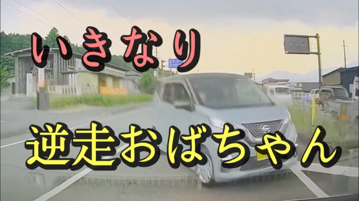 危険運転　逆走おばちゃん　去っていった　　#熊本ドラレコ #ドラレコ  #危険運転  #煽り運転  #熊本