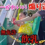 【飲乳運転】0歳児の煽り運転があまりにも可愛い