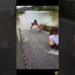 海外の面白動画