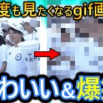 【2ch面白いgif】この人気急上昇中のおもしろgifを見てくれ！いつもありがとうございます【コメ付き】