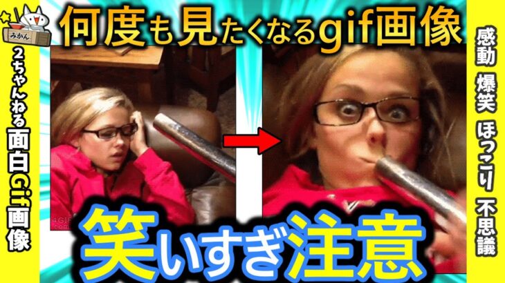 【2ch面白い画像】大爆笑！！面白gif動画で笑ったら寝ろ！！【コメ付き】