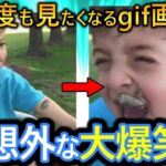 【2ch面白いgif】この爆笑面白動画で笑ったら寝ろwww