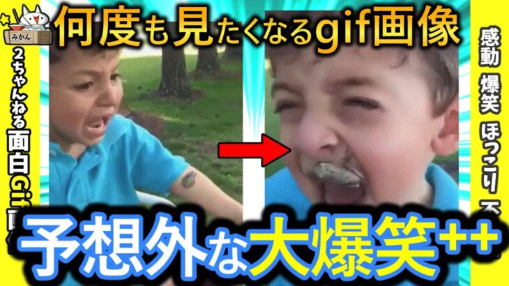 【2ch面白いgif】この爆笑面白動画で笑ったら寝ろwww