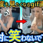 【2ch面白い画像】この面白動画で笑ったら負けwww【コメ付き】