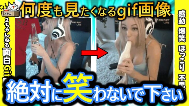 【2ch面白い画像】この面白動画で笑ったら負けwww【コメ付き】