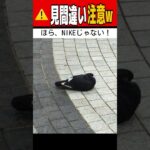 【衝撃】見間違い写真が怖すぎて爆笑レベルwww【面白い】