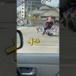 爆笑します、面白い動画