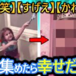 【2ch面白い画像】「爆笑‼」「すげえ‼」「かわいい‼」GIF集めたから見てや♪