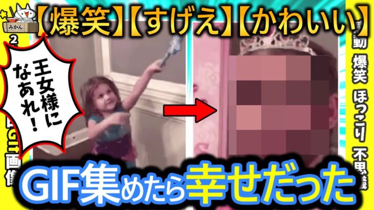 【2ch面白い画像】「爆笑‼」「すげえ‼」「かわいい‼」GIF集めたから見てや♪