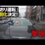 煽り運転を仕掛けてくるシーマと遊んであげました