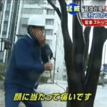 放送事故閲覧注意‼️早朝ニュースで台風パンチラ映像。J〇多数スカートめくれ上がってます‼️