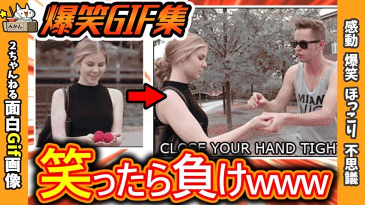 【2ch面白いgif】朗報 おもしろgif、見つかるwww