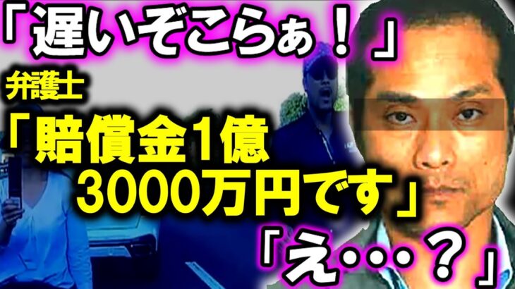 「そこの車止まれやぁ！」調子乗った危険煽り運転者の末路