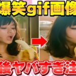 【神回】この爆笑面白GIF動画で笑わないやついる？www【2ch面白い画像】【ゆっくり解説】#63