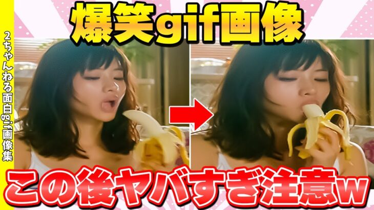 【神回】この爆笑面白GIF動画で笑わないやついる？www【2ch面白い画像】【ゆっくり解説】#63