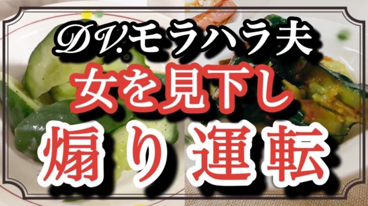 DV.モラハラ夫は煽り運転を正当化！婦だと分かると豹変し人に迷惑を掛ける夫！頭に来たら煽り運転して良いんだって！