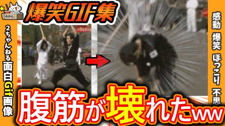 【2ch面白動画】衝撃‼予想外なハプニングgif画像
