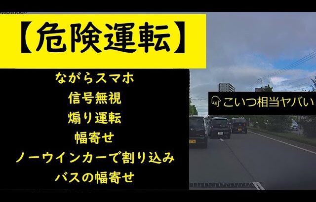 【危険運転】　ながらスマホ・信号無視・煽り運転・幅寄せ・ノーウインカーで割り込み・バスの幅寄せ