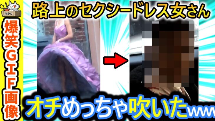 【2ch面白動画】このおもしろGIFで大爆笑したんだがw