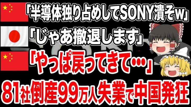 SONYを潰そうと半導体を独り占めした中国が返り討ち！とんでもない量の企業が完全撤退＋巨額賠償で中国完全終了【ゆっくり解説】【海外の反応】