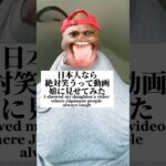 日本人なら絶対笑うって動画を見せてみた#笑ってはいけない #日本人なら絶対笑うらしい #子供のいる暮らし #あおいちゃん #パパと娘  #shorts