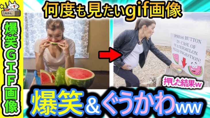 【2ch面白gif】爆笑＆かわいいおもしろGIF動画