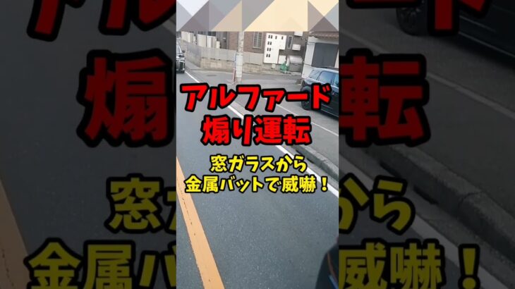 【煽り運転】恐怖の瞬間！窓から金属バットでプリウス威嚇するヤクザアルファード！！