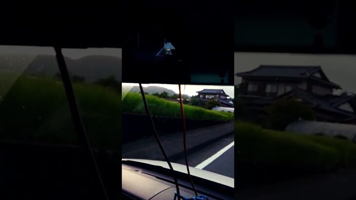 「俺と犬の動くゴミ部屋 もうやめて 煽り運転」閲覧自己責任🚀 #shorts #イタグレ #nvan