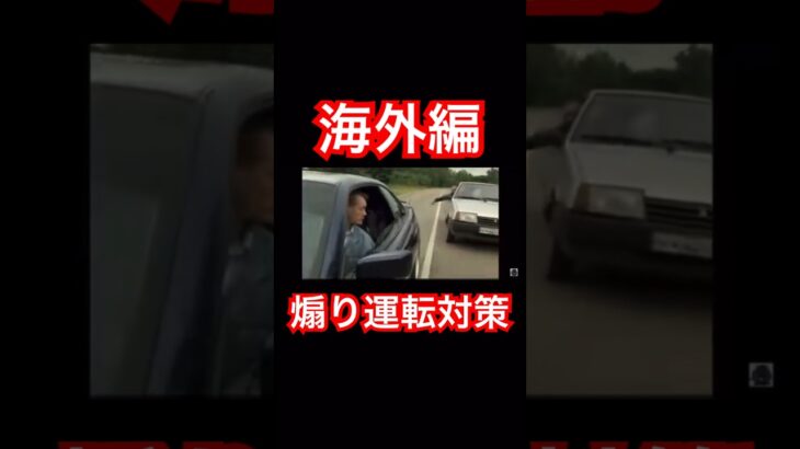 【拡散希望】海外編の煽り運転対策が面白い#迷惑行為 #やばい #dangerous #危険運転 #警察 #コメント歓迎 #感想