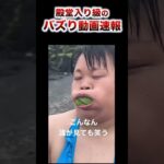 友達に見せたくなる爆笑動画ランキングwwwwwww#おもしろ #放送事故 #珍事件 #爆笑 #ハプニング