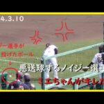 [2024.3.10] ノイジー選手を弄ってたはずなのに何故か返り討ちに遭ってしまうミエちゃん！＠阪神甲子園球場～一塁アルプス視点～【阪神タイガース】