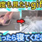 【笑ったら寝ろ】マジ爆笑‼おもしろGIF動画 2ch