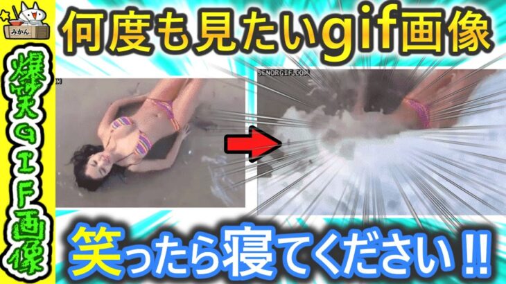 【笑ったら寝ろ】マジ爆笑‼おもしろGIF動画 2ch