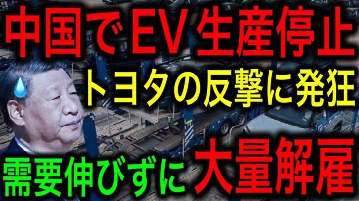 【衝撃】中国EVを日本が返り討ち！500社ある中国企業が大量倒産！【JAPAN 凄い日本と世界のニュース】