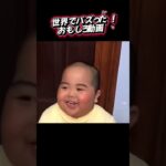 世界でバズったおもしろい動画＃海外#tiktok #comedyvideos #面白い