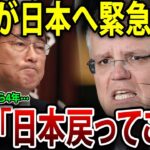 IWCが返り討ち…笑！とんでもない数の国がIWC大量脱退＋巨額賠償で大ピンチw#外国の反応 #海外の反応 #戦争 #歴史 #地理