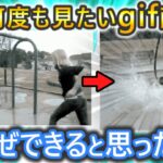 爆笑‼何度も見たいおもしろGIF画像　【 笑い 2ch 】