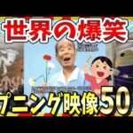 【🔥爆笑】世界のおもしろハプニング映像＆画像50選！ガルちゃんまとめ/2ch