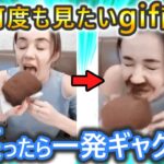 【笑ったら一発ギャグ‼】爆笑・ハプニング・かわいいgif画像集♪