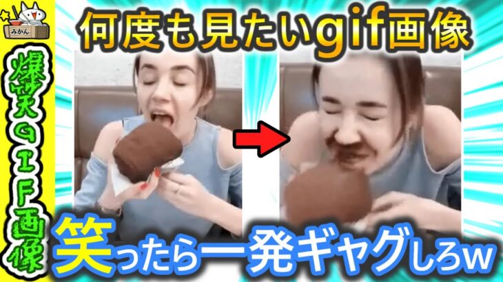 【笑ったら一発ギャグ‼】爆笑・ハプニング・かわいいgif画像集♪