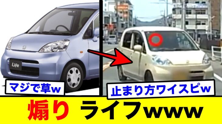 【煽り運転】とんでもないライフ出現www