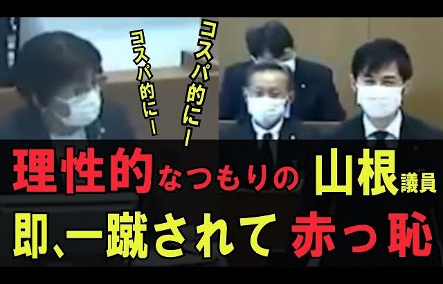【返り討ち】本人はいたって真面目に理性的に主張しているつもりなんです【安芸高田市 / 石丸市長】