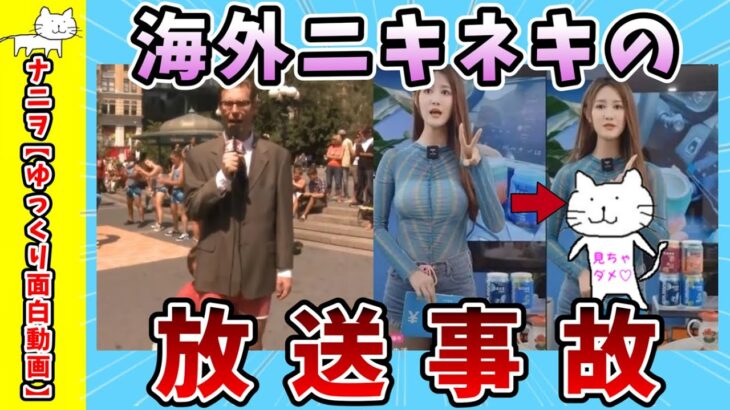 【面白動画】海外ニキネキの放送事故【ゆっくり解説】