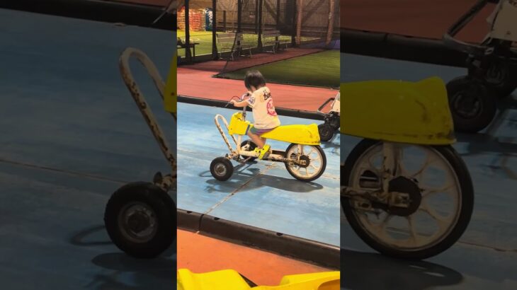 ヅラ旦那🤣煽り運転待ち(笑)