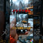 カメラが捉えたあおり運転の末路 #ドラレコ #事故 #事故映像 #衝撃映像