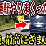 【ドラレコ】あおり運転しまくるヤバいやつが出現、この後、最高にスッキリの瞬間【ゆっくり解説】